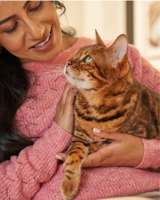 blink-cat-food-subscription